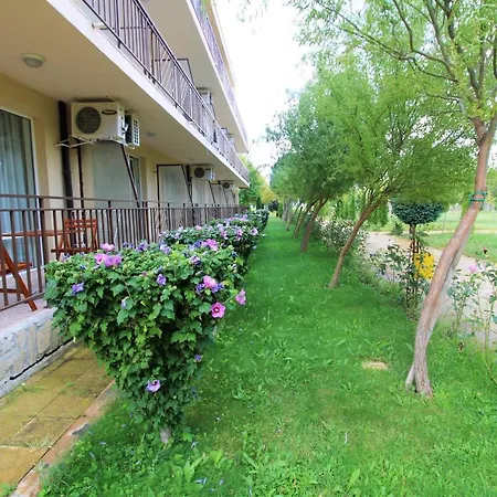 Holiday-orchid Menada * Slăntjev Brjag